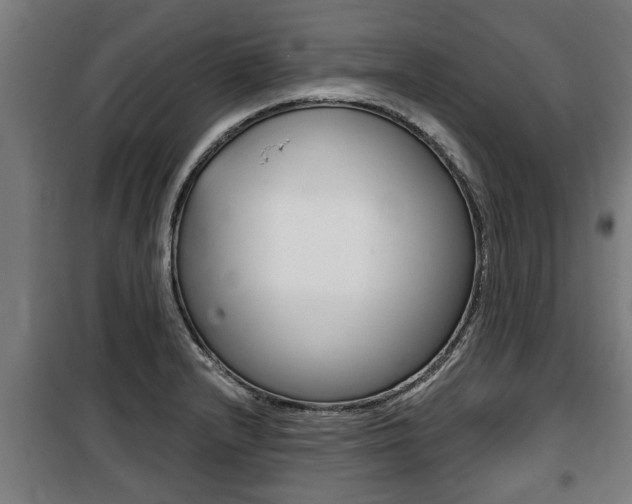 X0000100841232200806200730