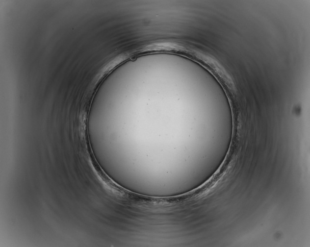 X0000100841233200806200730