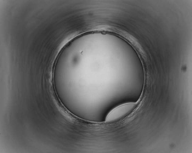 X0000100841234200806200730