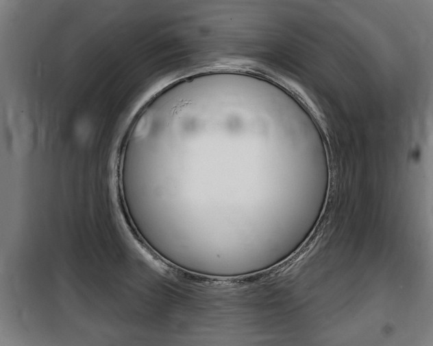 X0000100841235200806200730