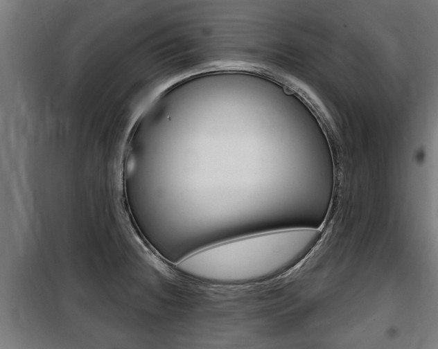 X0000100841236200806200730