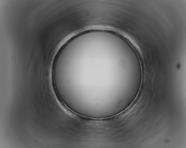 X0000100841237200806200730