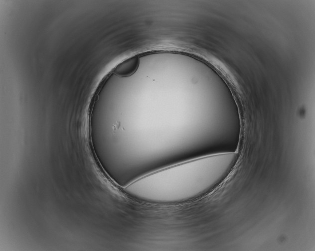 X0000100841238200806200730