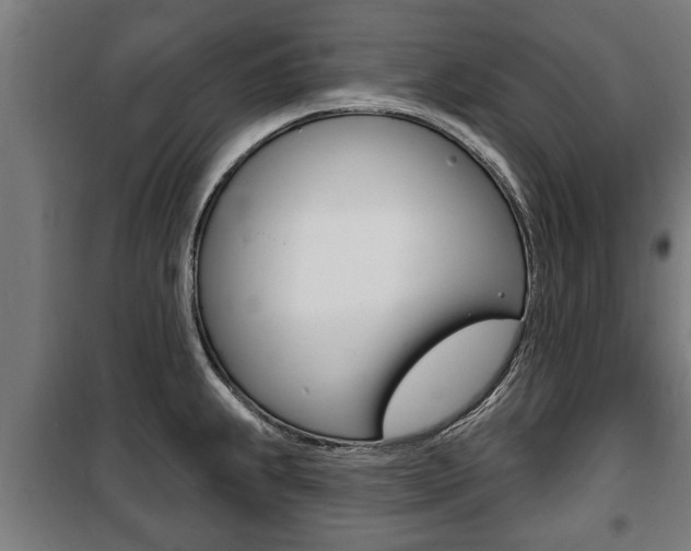 X0000100841239200806200730