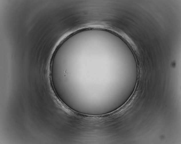 X0000100841240200806200730