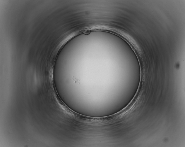 X0000100841241200806200730