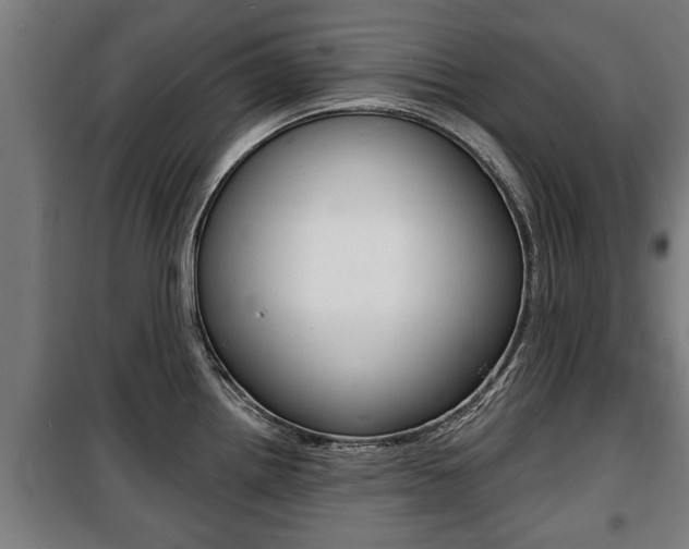 X0000100841242200806200730