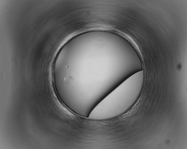 X0000100841243200806200730