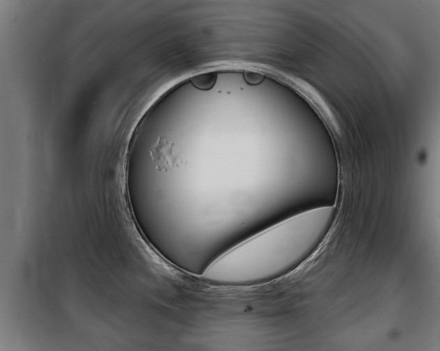 X0000100841244200806200730