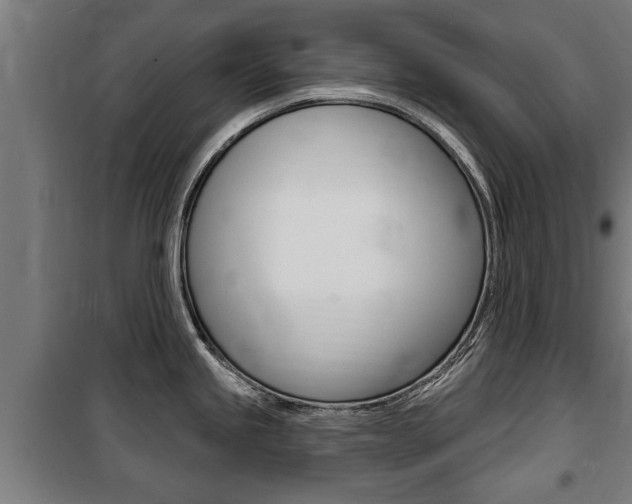 X0000100841245200806200730