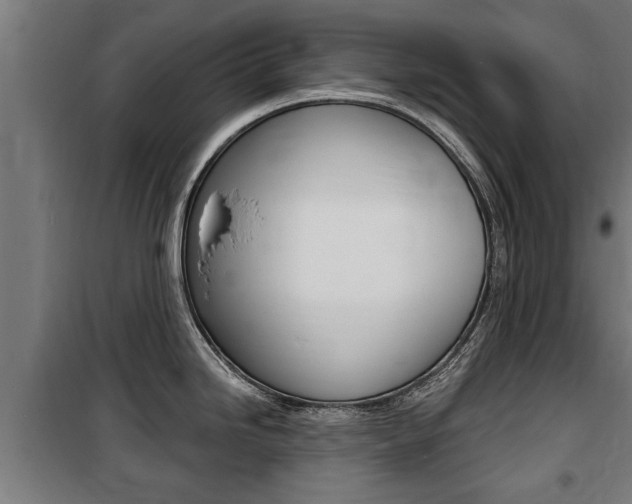 X0000100841246200806200730