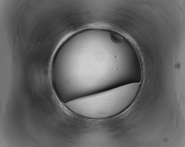 X0000100841248200806200730