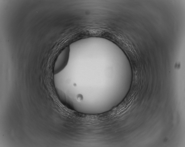 X0000100841249200806200730