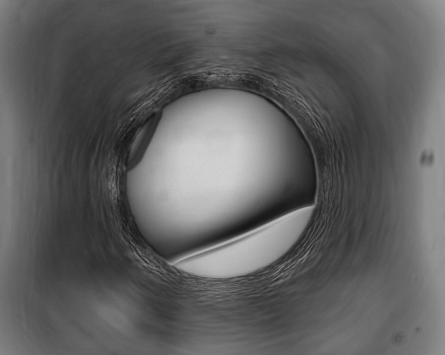 X0000100841250200806200730