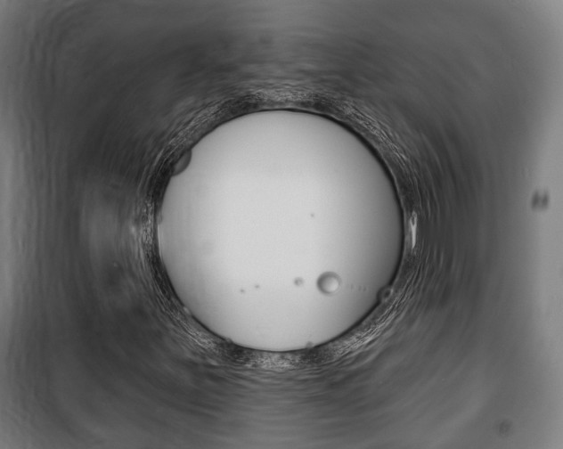 X0000100841251200806200730