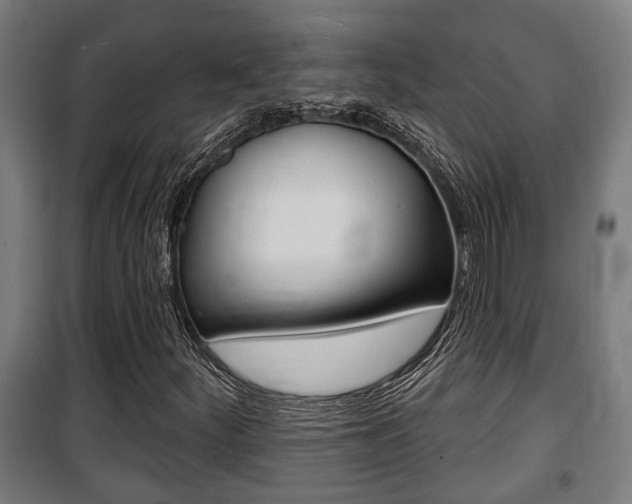 X0000100841252200806200729