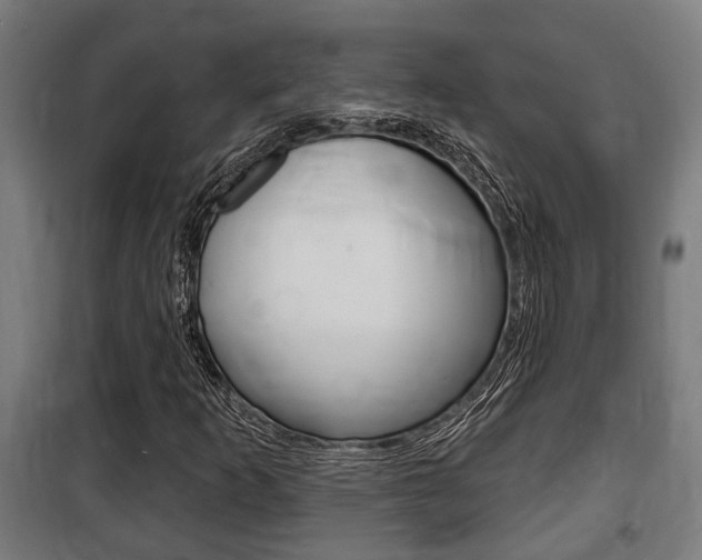 X0000100841253200806200729