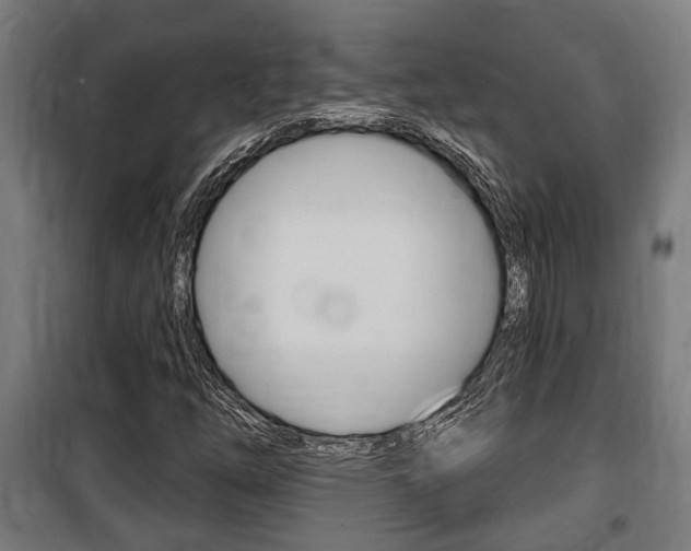 X0000100841254200806200729