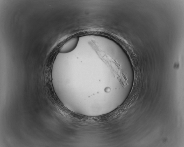 X0000100841255200806200729