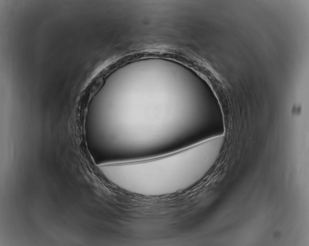 X0000100841256200806200729