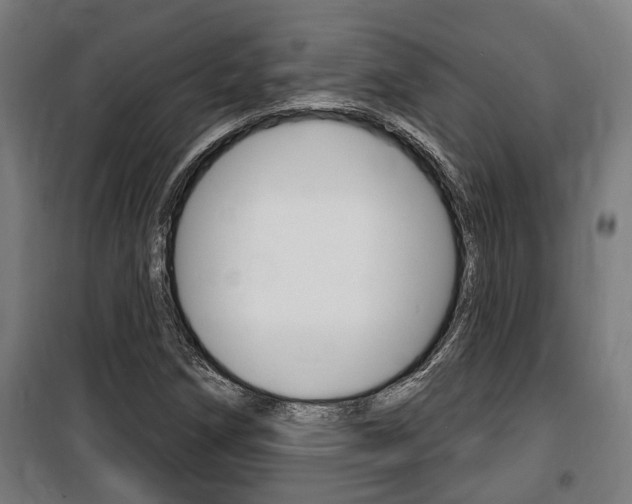 X0000100841258200806200729