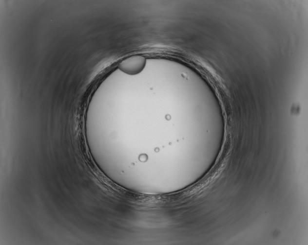 X0000100841259200806200729