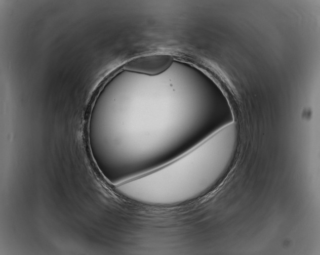 X0000100841260200806200729