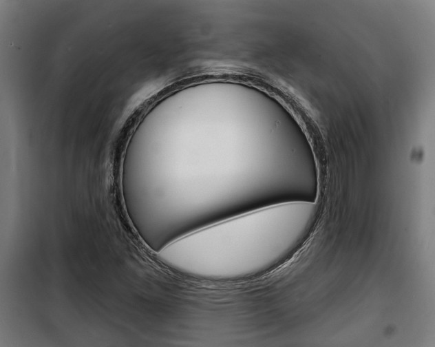 X0000100841261200806200729