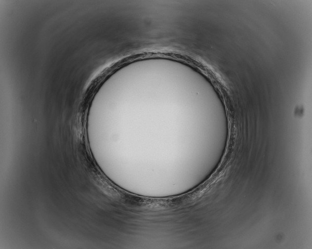 X0000100841262200806200729