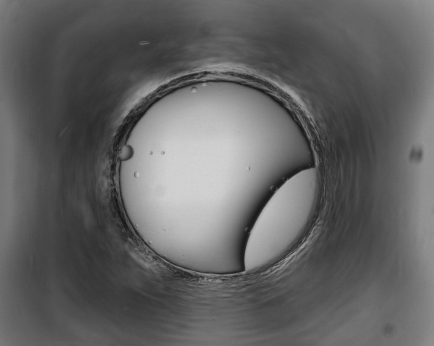 X0000100841263200806200729