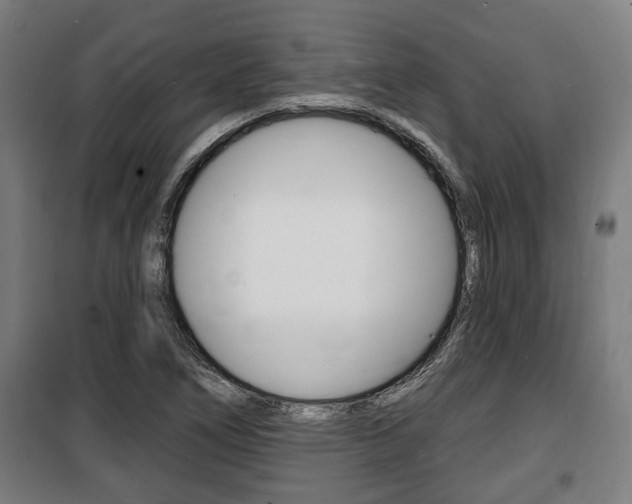 X0000100841266200806200729