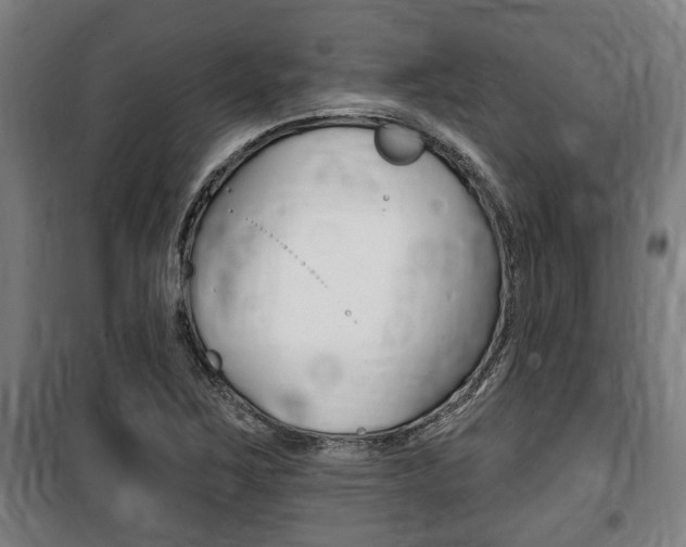 X0000100841267200806200729