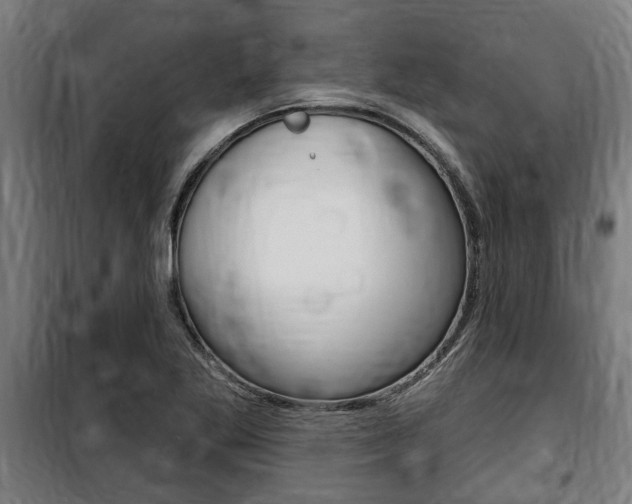 X0000100841269200806200729