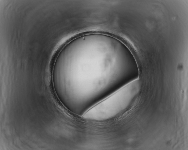 X0000100841270200806200729