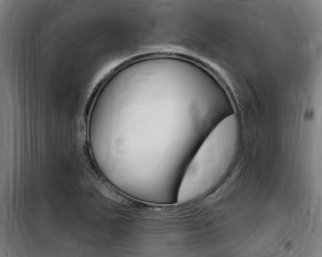 X0000100841271200806200729