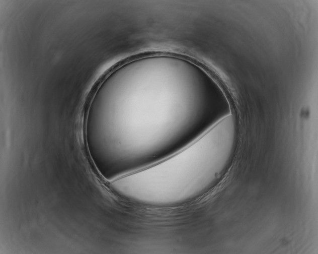 X0000100841272200806200729