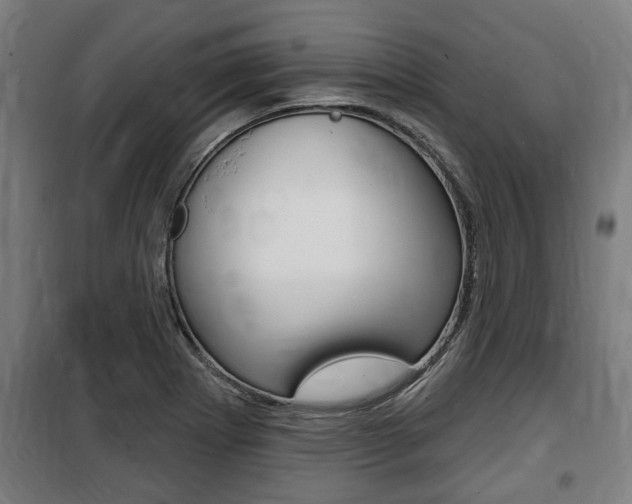 X0000100841273200806200729