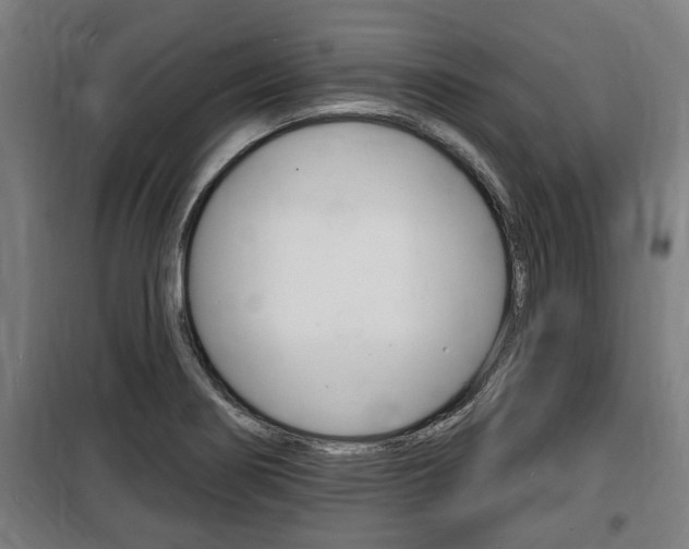 X0000100841274200806200729