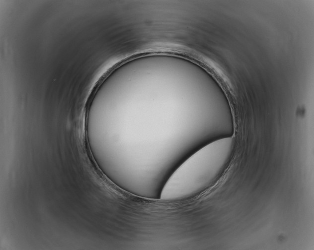 X0000100841275200806200729