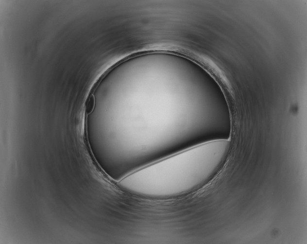 X0000100841276200806200729