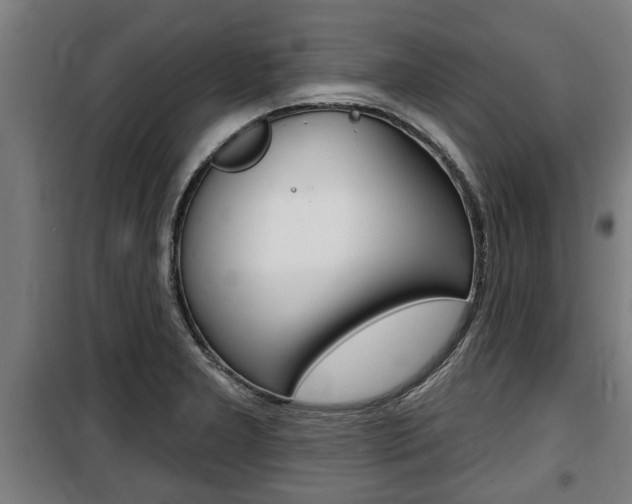 X0000100841277200806200729