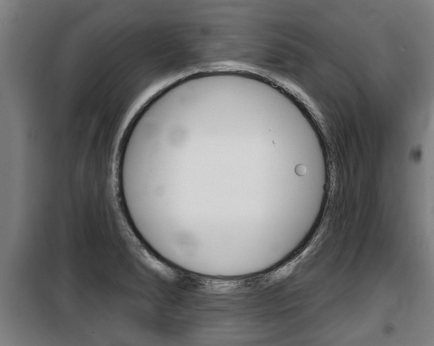 X0000100841278200806200729