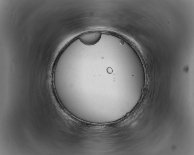 X0000100841279200806200729