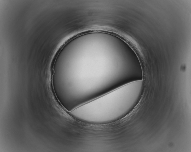 X0000100841280200806200729