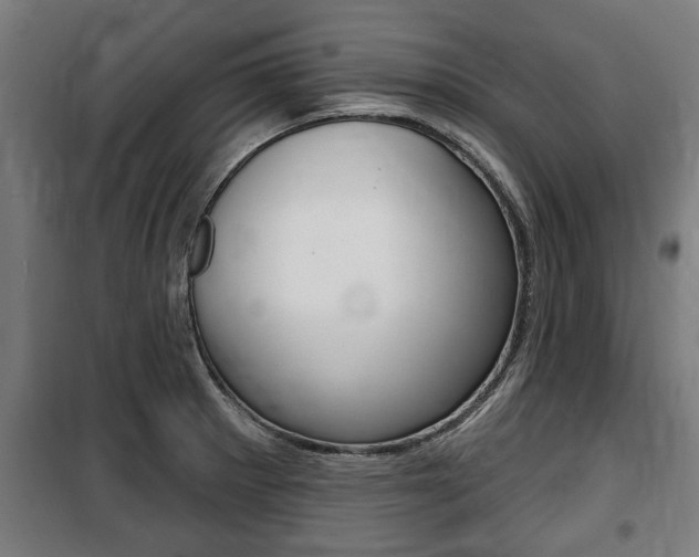 X0000100841281200806200729