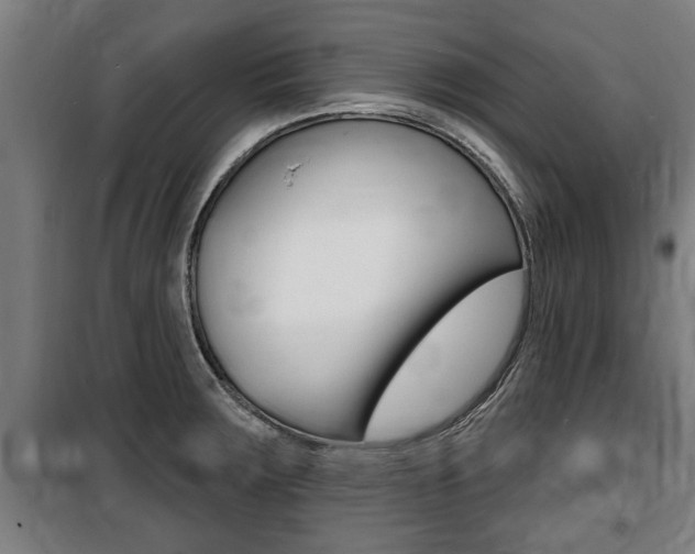 X0000100841283200806200729