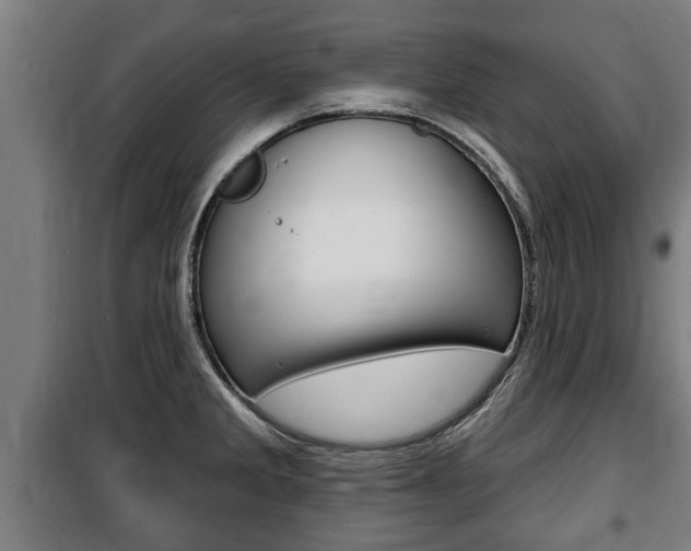 X0000100841285200806200729