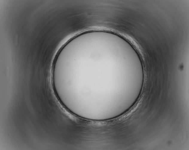 X0000100841286200806200729