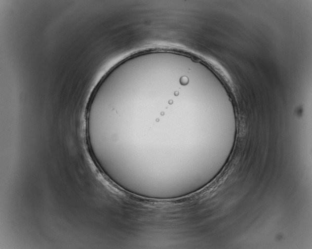 X0000100841287200806200729