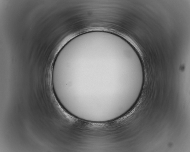 X0000100841290200806200729